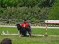 Immagine 022